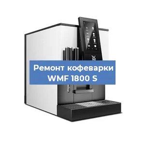 Чистка кофемашины WMF 1800 S от кофейных масел в Перми